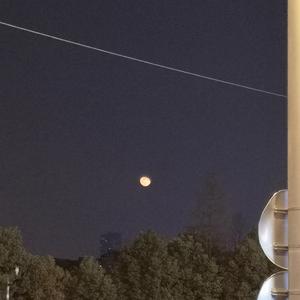 91丨国产丨白浆㊙️韩漫
